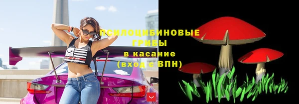 не бодяженный Богданович
