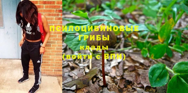 не бодяженный Богданович